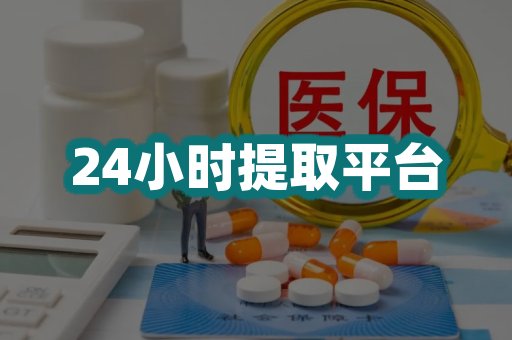 24小时提取平台